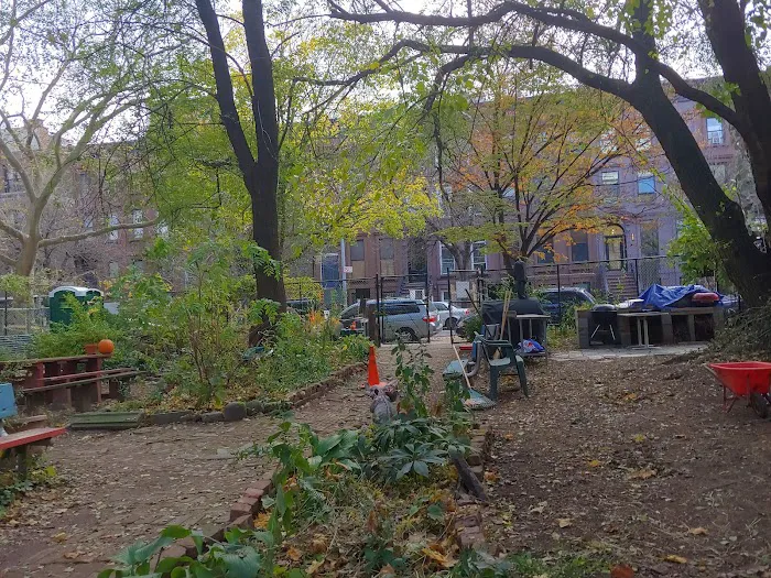 Walt L. Shamel Community Garden Picture 3