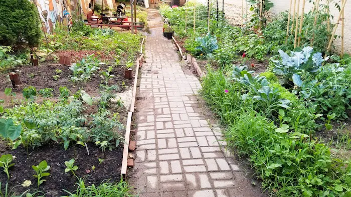 United Herkimer Garden Club Picture 6