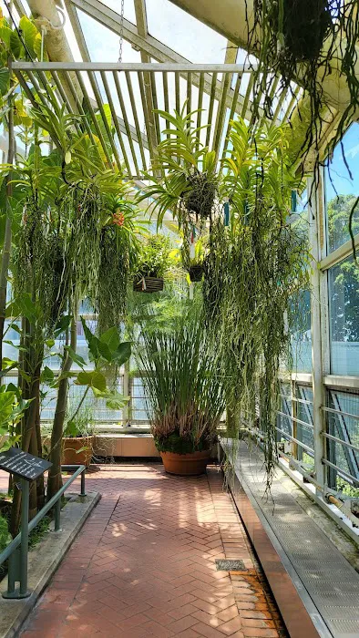 Steinhardt Conservatory Picture 7