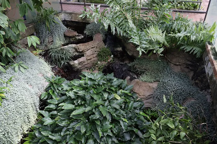 Steinhardt Conservatory Picture 1