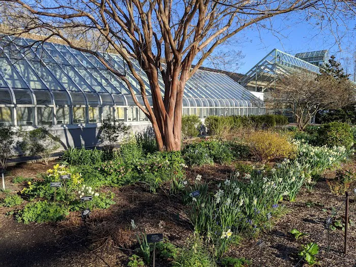 Steinhardt Conservatory Picture 2