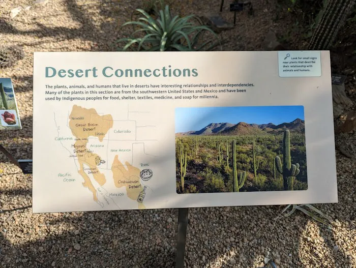 Desert Pavilion Picture 3