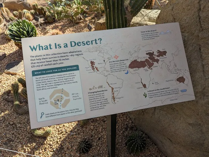 Desert Pavilion Picture 6