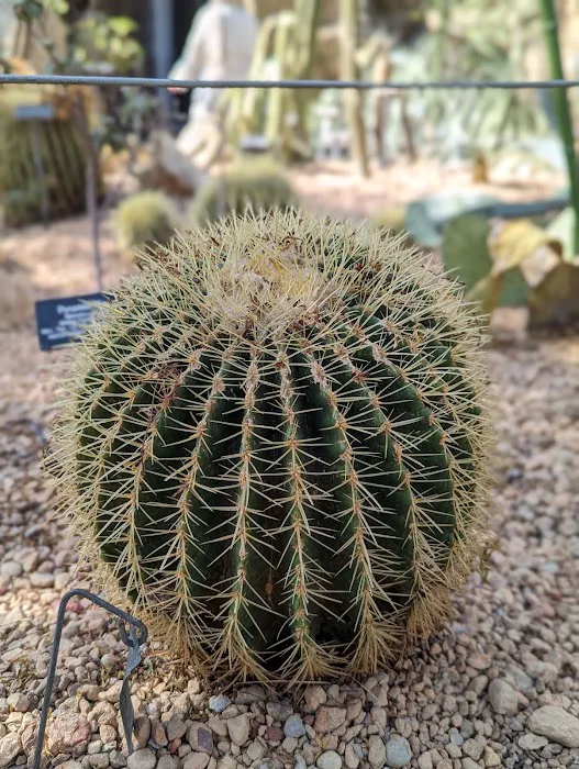Desert Pavilion Picture 5