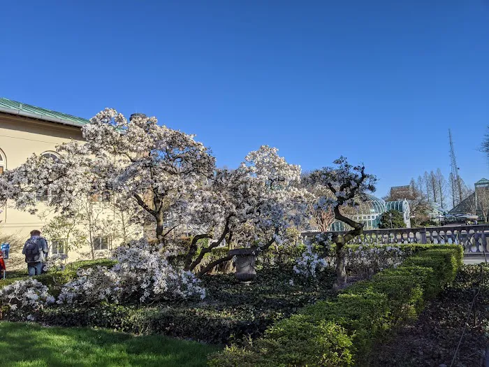 Magnolia Plaza Picture 4