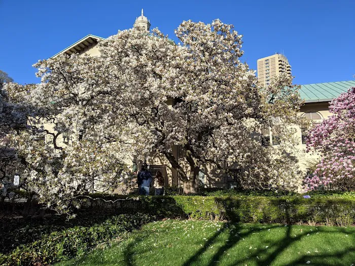 Magnolia Plaza Picture 5