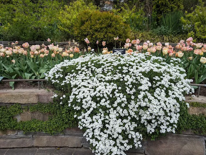 Fragrance Garden Alice Recknagel Ireys Picture 8