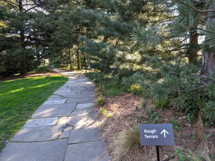 Celebrity Path Picture 3