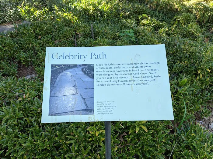 Celebrity Path Picture 10