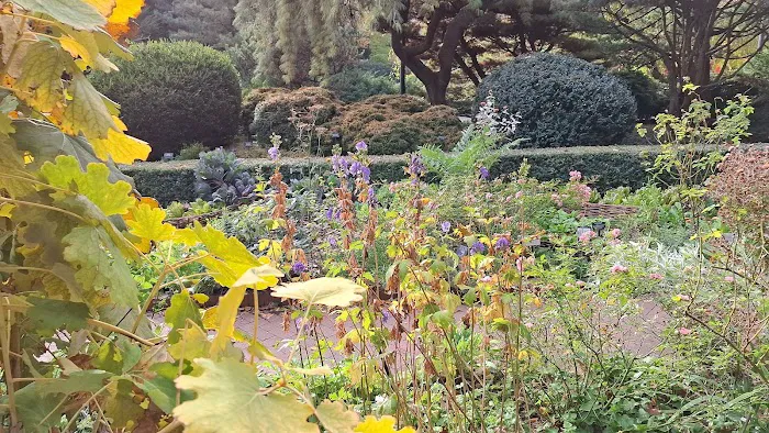Shakespeare Garden, BBG Picture 3