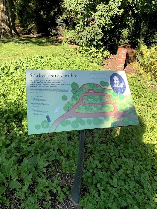 Shakespeare Garden, BBG Picture 7