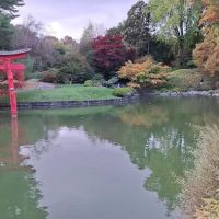 Shakespeare Garden, BBG ico