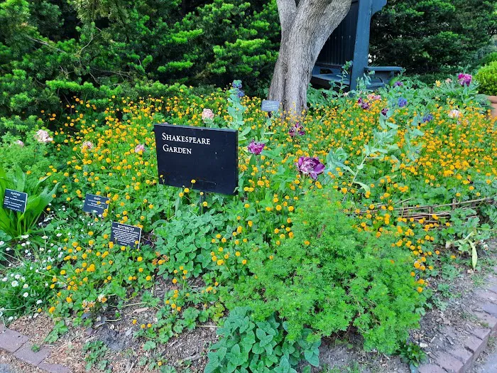 Shakespeare Garden, BBG Picture 8