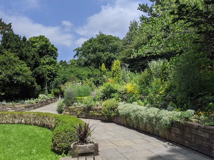Shakespeare Garden, BBG Picture 9