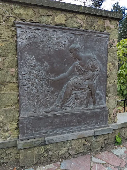 Alfred Tredway White Memorial Picture 4