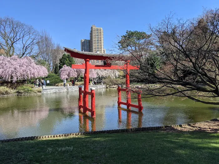 Japanese Hill-and-Pond Garden Picture 1