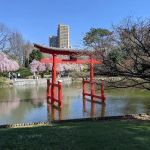 Japanese Hill-and-Pond Garden