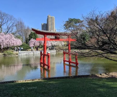 Japanese Hill-and-Pond Garden