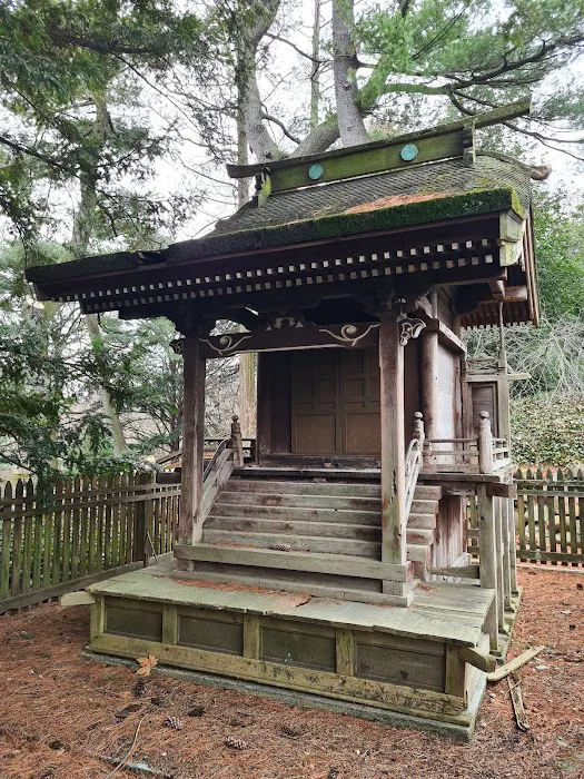 Japanese Hill-and-Pond Garden Picture 2