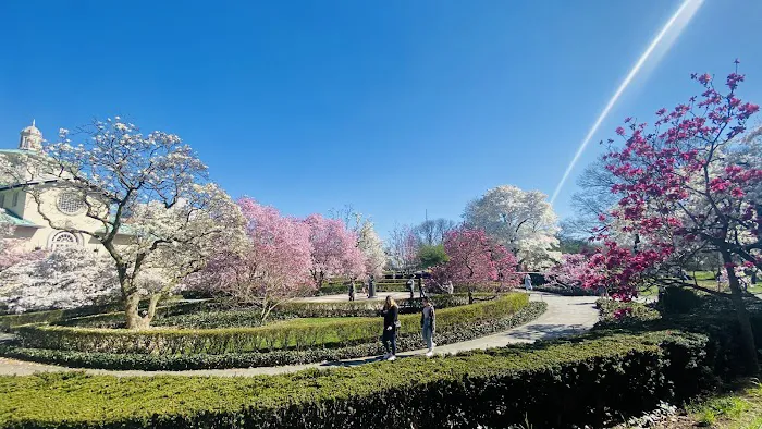 Japanese Hill-and-Pond Garden Picture 5