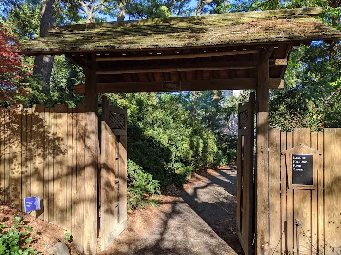 Japanese Hill-and-Pond Garden Picture 8