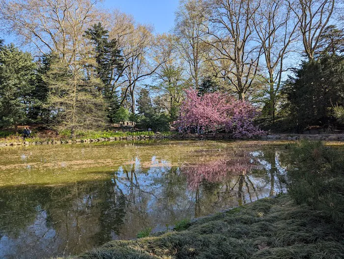 Japanese Hill-and-Pond Garden Picture 6