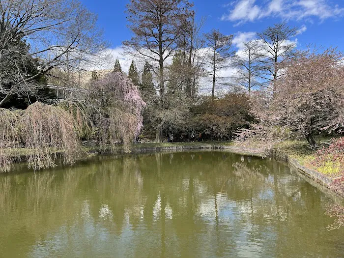 Japanese Hill-and-Pond Garden Picture 10