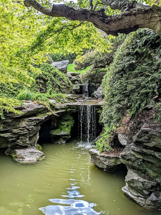 Japanese Hill-and-Pond Garden Picture 9