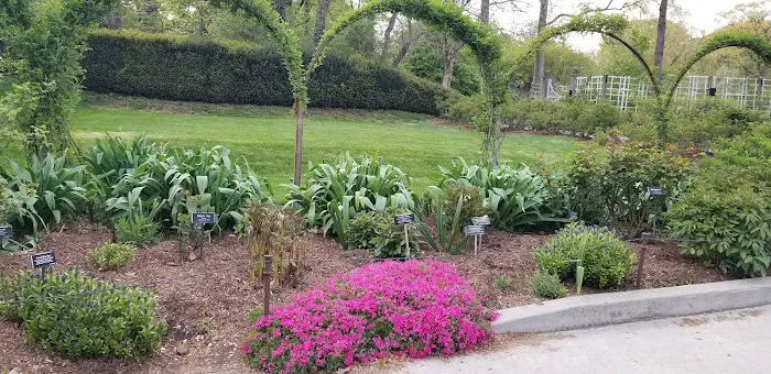 Brooklyn Botanic Garden Shop Picture 7