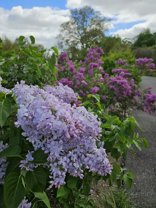 Brooklyn Botanic Garden Shop Picture 3