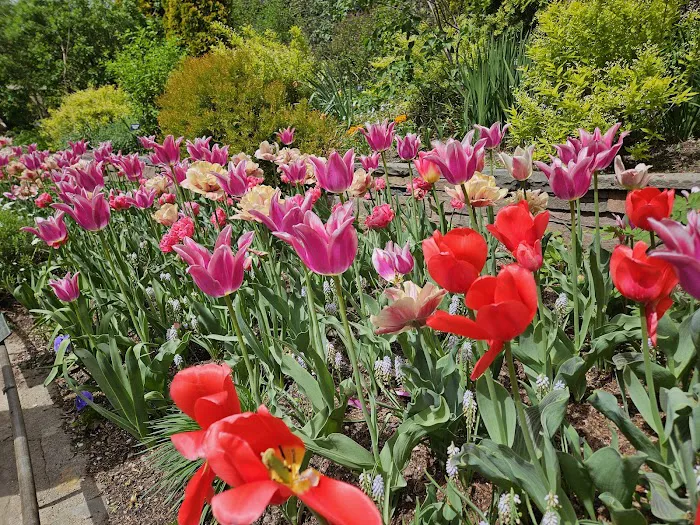 Brooklyn Botanic Garden Shop Picture 6
