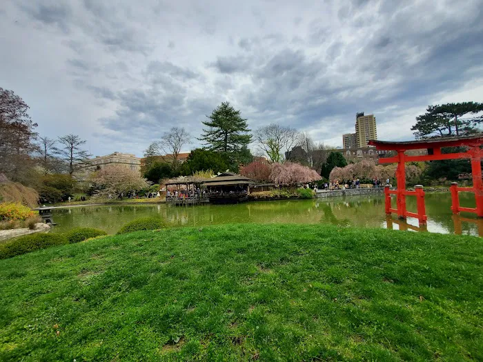 Brooklyn Botanic Garden Shop Picture 4