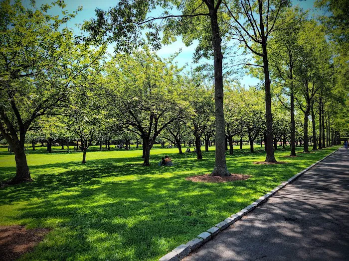 Dr. Ronald McNair Park Picture 8