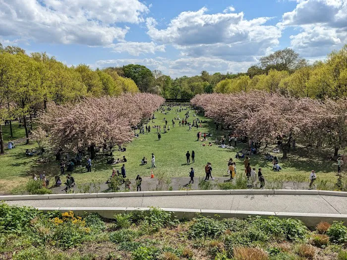 Robert W. Wilson Overlook Picture 4