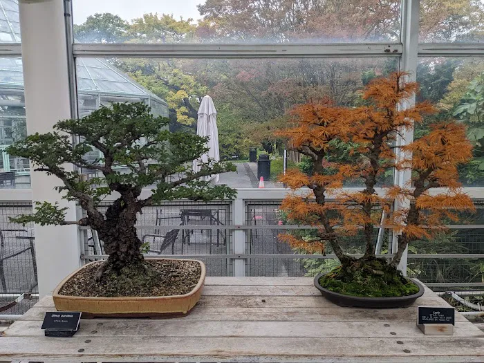 Brooklyn Botanic Garden Picture 5