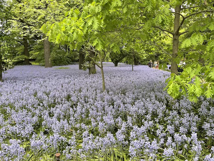 Brooklyn Botanic Garden Picture 9