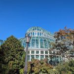 Brooklyn Botanic Garden