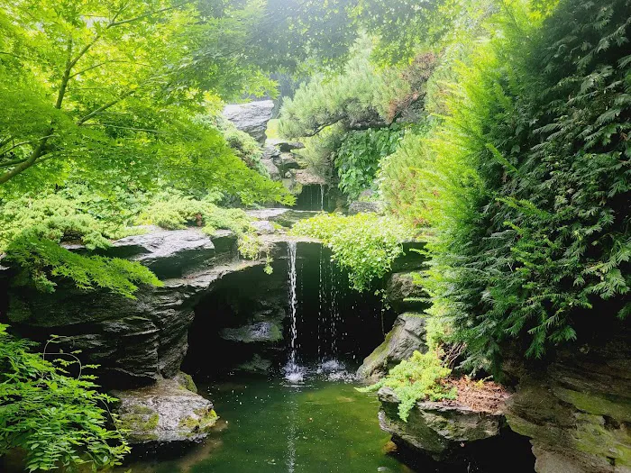 Brooklyn Botanic Garden Picture 7