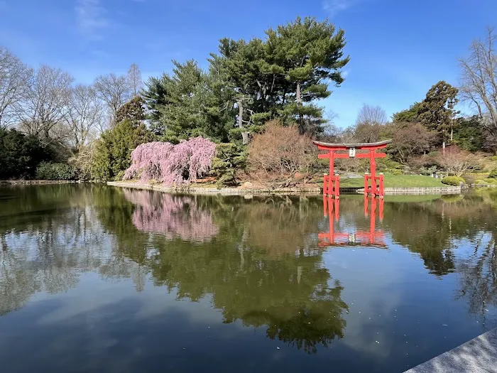 Brooklyn Botanic Garden Picture 2
