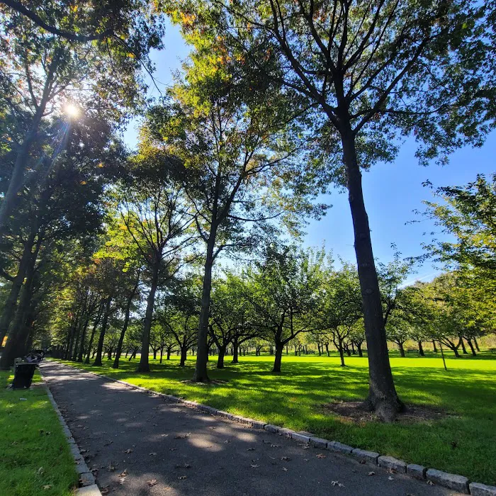 Cherry Esplanade Picture 7