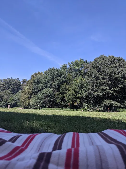 Nellie's Lawn Picture 3