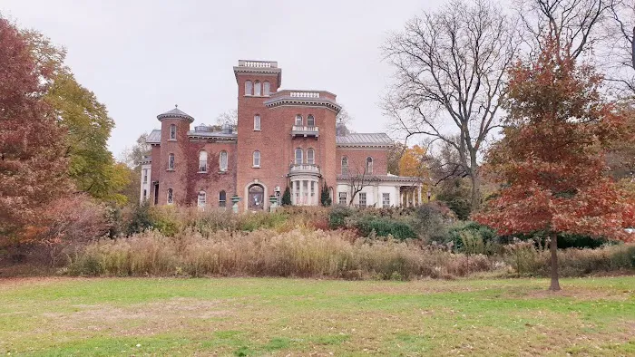 Nellie's Lawn Picture 4