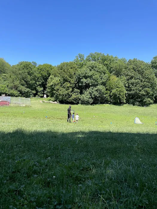 Nellie's Lawn Picture 2