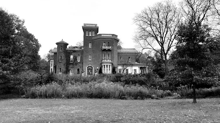 Nellie's Lawn Picture 7