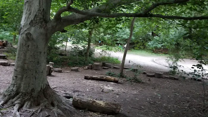The Donald And Barbara Zucker Natural Exploration Area Picture 3