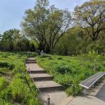 Native Flora Garden