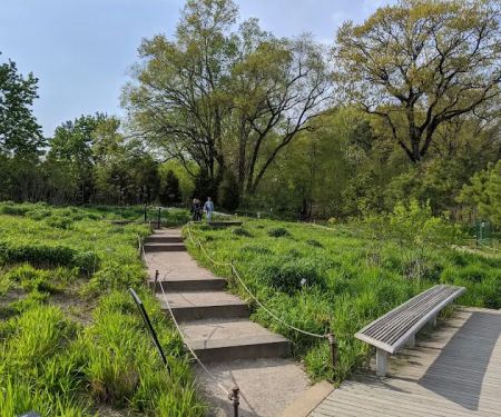 Native Flora Garden