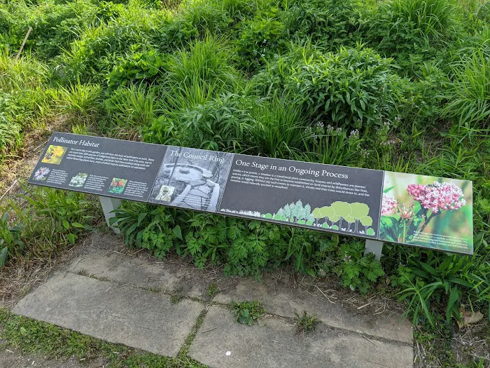 Native Flora Garden Picture 5