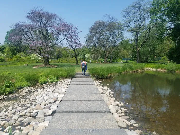 Native Flora Garden Picture 6