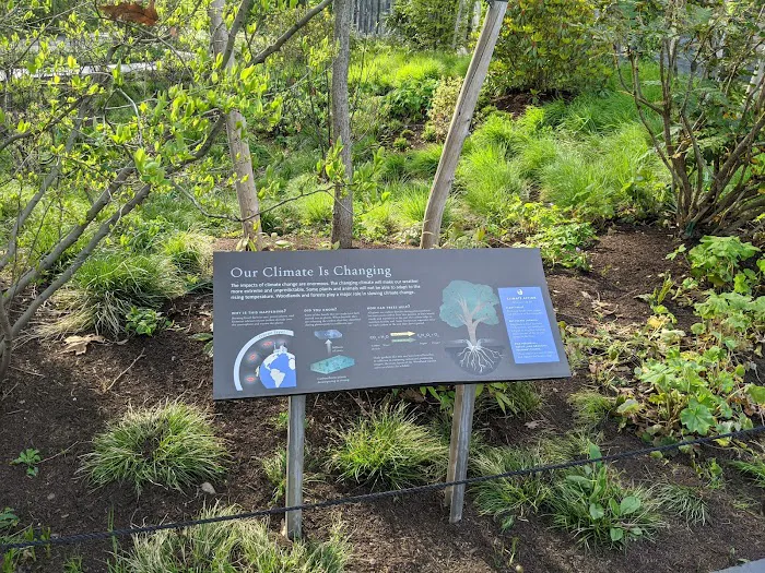 Native Flora Garden Picture 2